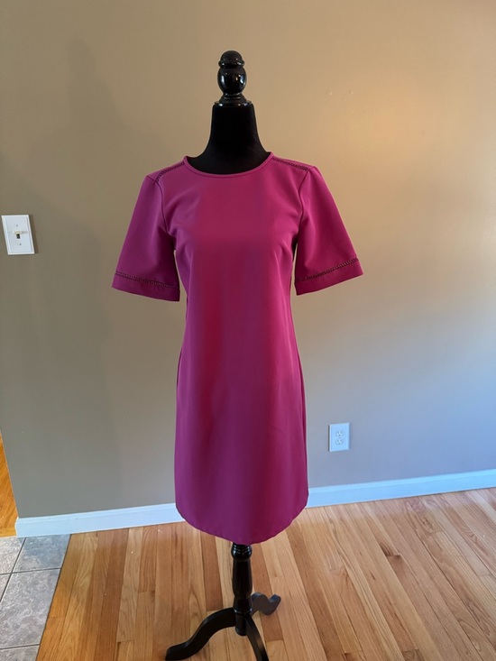 Ann Taylor Factory Dresses & Skirts - Ann Taylor Factory Magenta Short-Sleeve Shift Dress